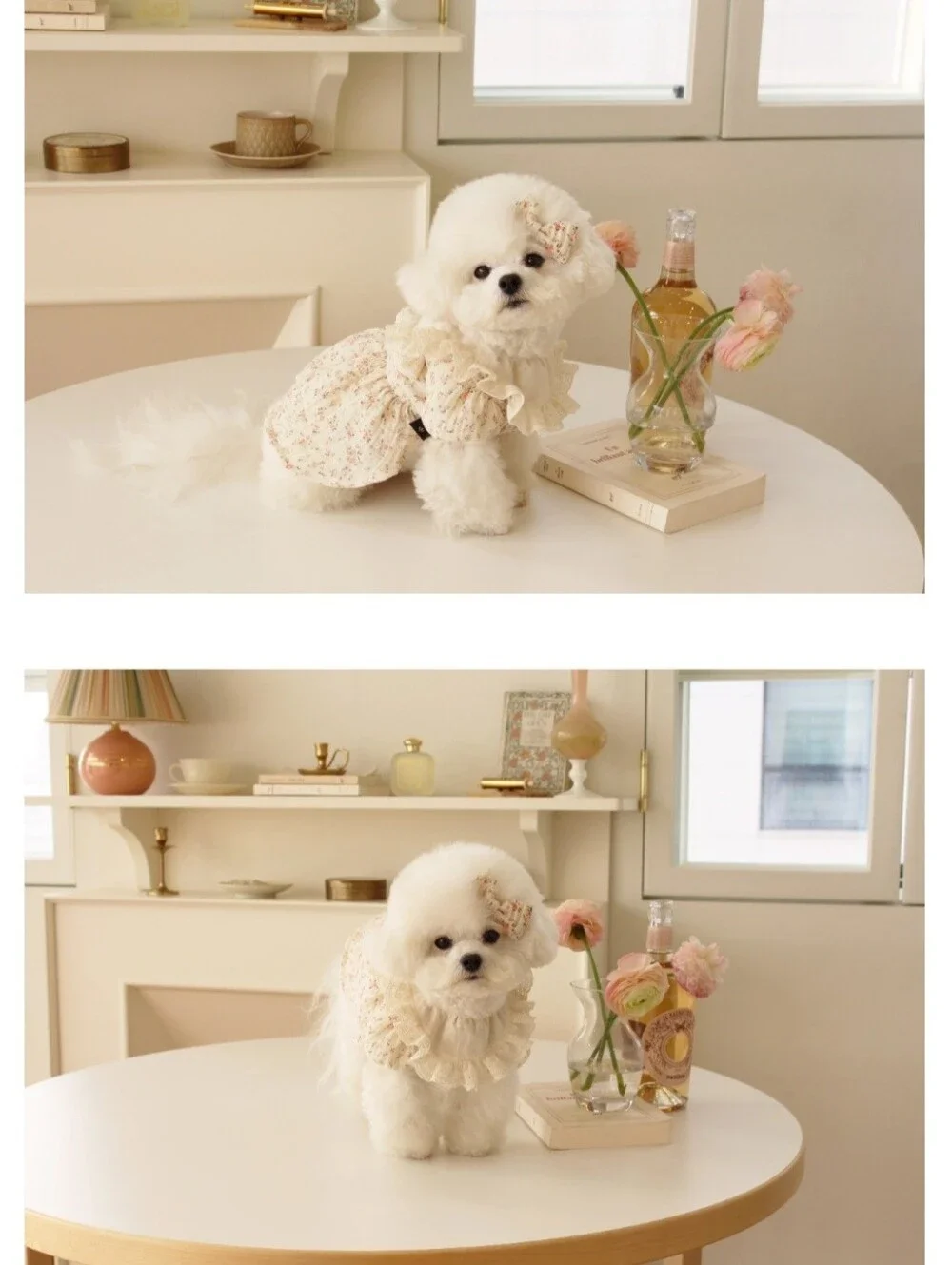 CokeMill Korean Floral Romantic Dog Dress